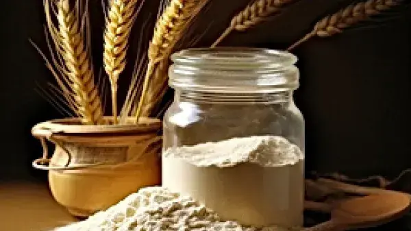 wheat-gluten.webp